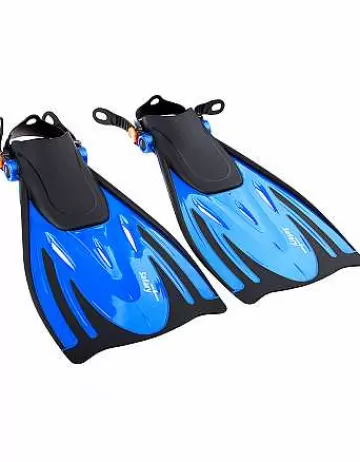 Snorkeling^Mad Wave Safary